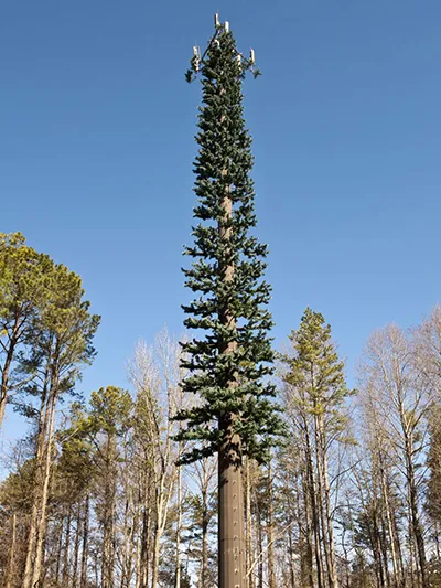 برج اتصالات مموه على شكل شجرة صنوبر