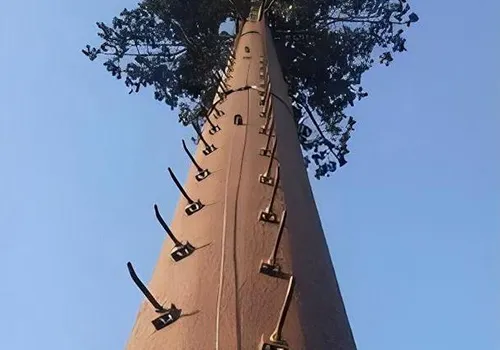 التطبيقات والمتانة