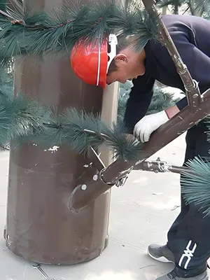 فحص الوصلات