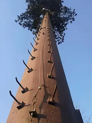 الفحص النهائي للمظهر