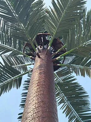 فحص الوصلات ونقاط الربط