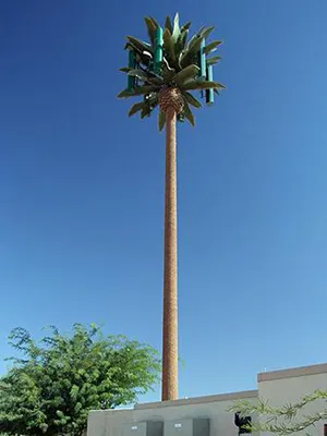 الفحص الخارجي النهائي