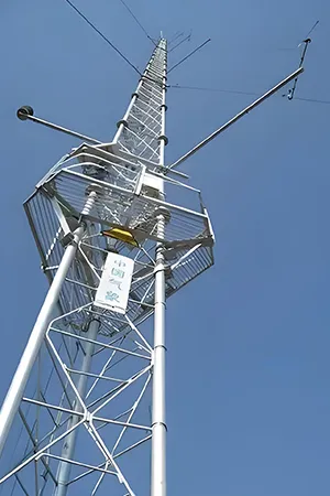 مرونة نقل الإشارة